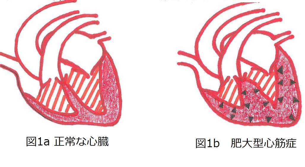 診療科紹介渡辺動物病院(静岡県島田市)